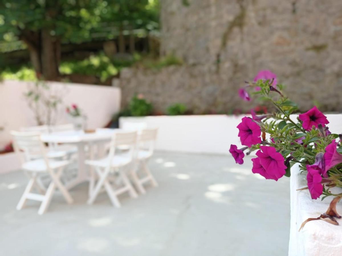 Appartement Easo Terrace Free Private Parking And Air Conditioning Saint-Sébastien