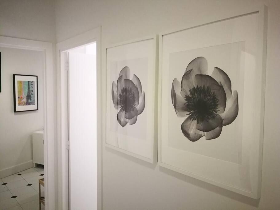 Newly Opened Zurriola *