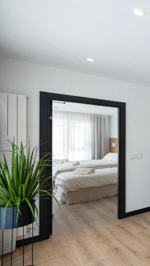 Donostia Guest house