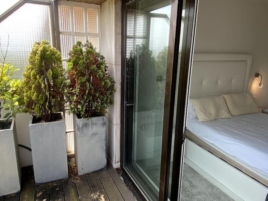 Avenida Vt - Vivienda Turistica San Sebastián