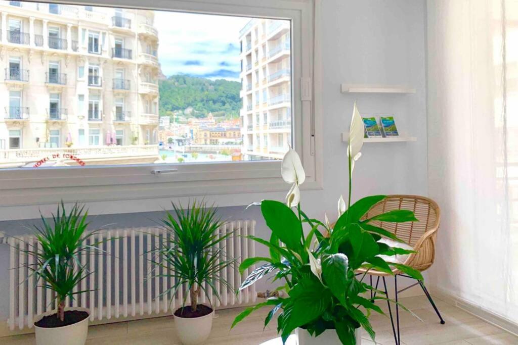 Appartement New Gorgeous - Beachfront - 3 Bd *