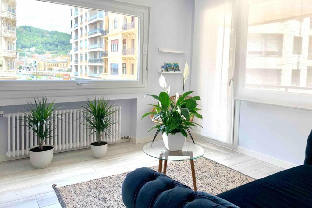 New Gorgeous - Beachfront - 3 Bd Appartement *