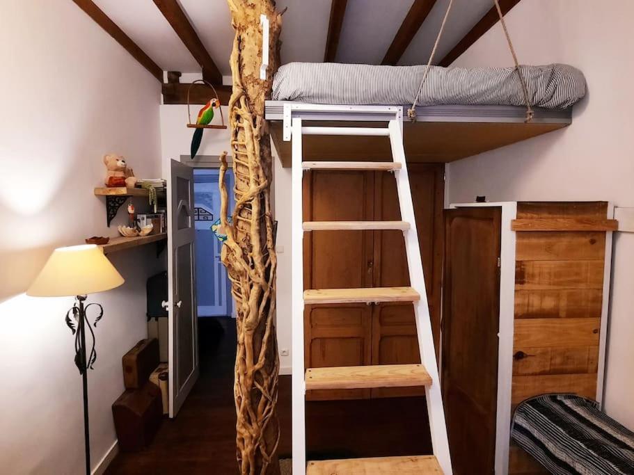La Casa Del Arbol Saint-Sébastien
