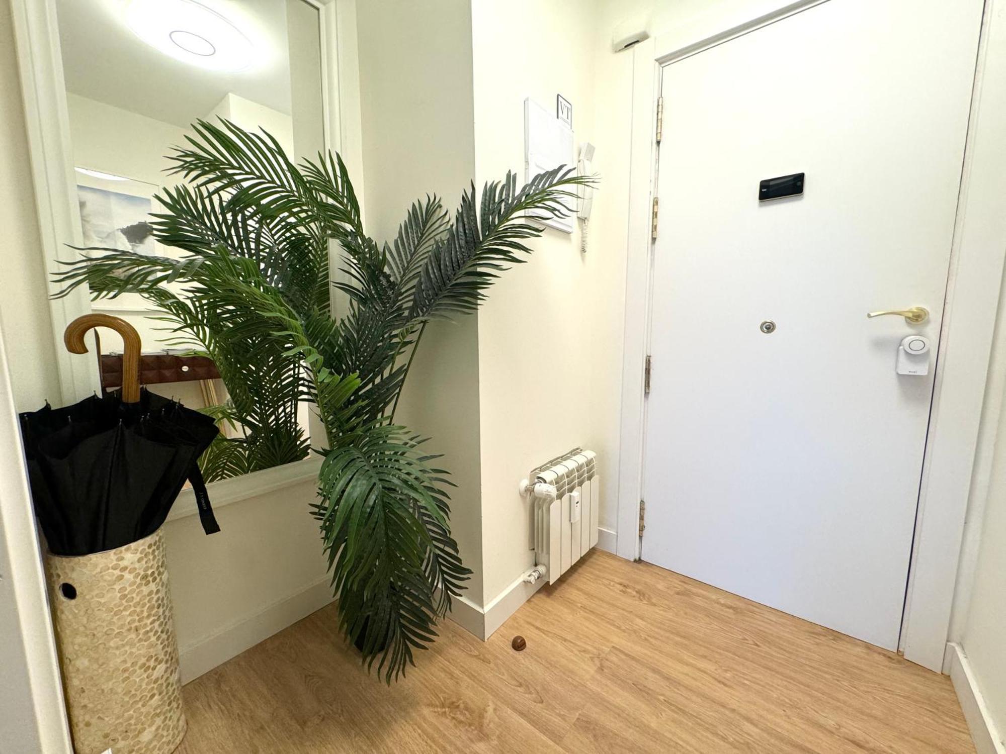 Paradise Luxurious Apartment, Free Parking, 3 Double Rooms, 4 Beds, Terrace, Jacuzzi, New San Sebastián
