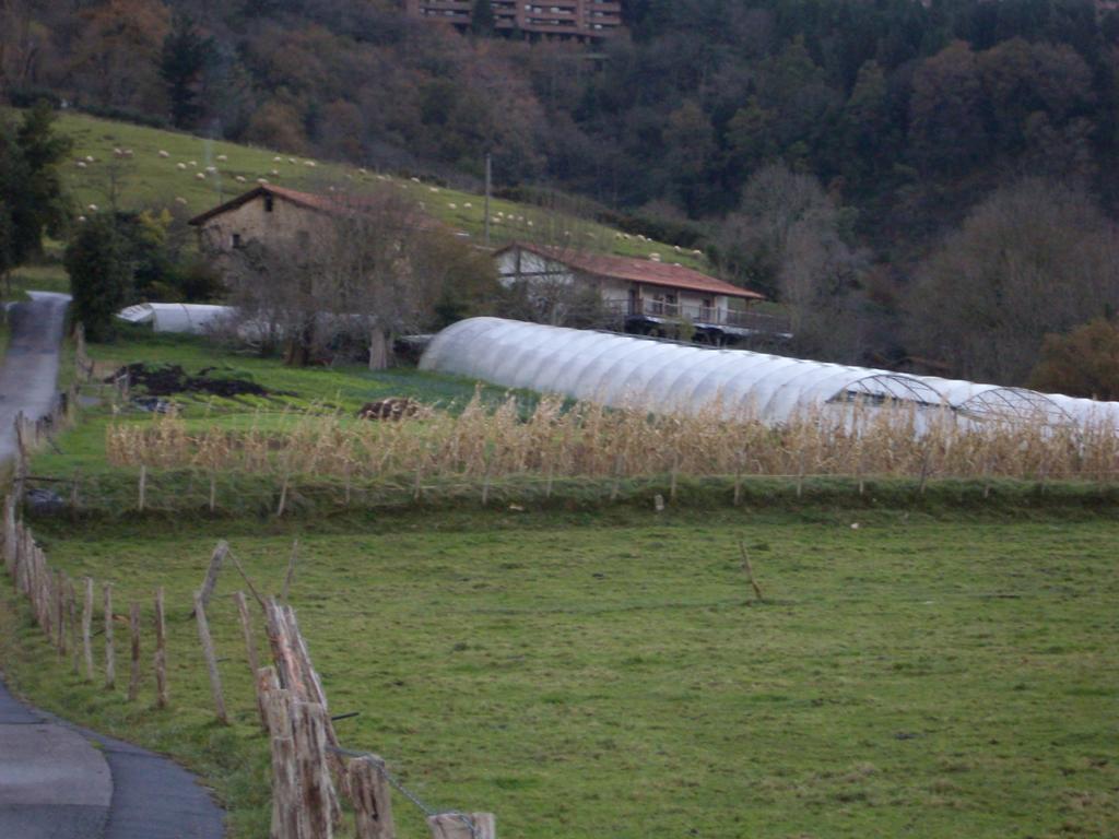 Aristondo